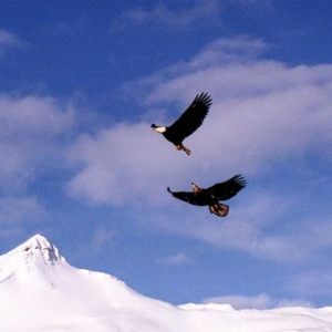 Alaska