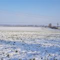 Winter 2021 in Leipzig