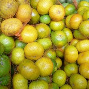 KODAIKANAL FRUITS AND VEGETABLES