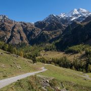 Vinschgau 2022