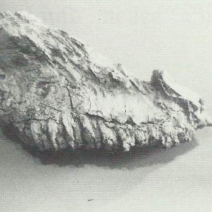 Archäologische Funde im Raum Angermund
