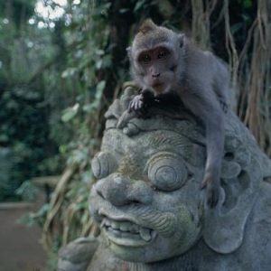 Bali/Sanctuaire de Padangtegal
