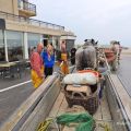 HORSEBACKFISHERMEN 558 - Belgium