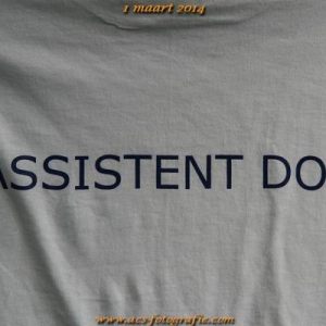 Assistentencursus 2013-2014 DOK Ede