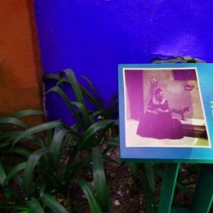 Frida Kahlo Museum