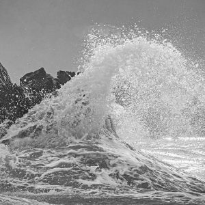 Recent Harris Beach snapshots