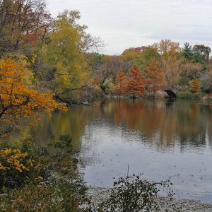 New York, Central Park, Herbstfarben