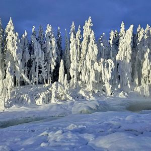 01.2026 • Lappland