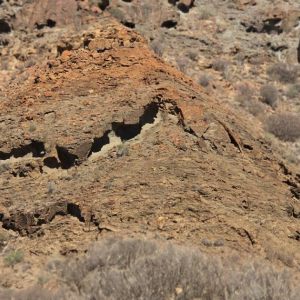 Rocky shapes and fossils