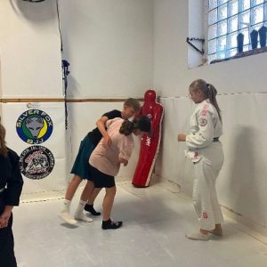Jiu - jitsu