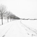 Winter in Oudenbosch