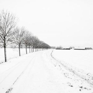 Winter in Oudenbosch
