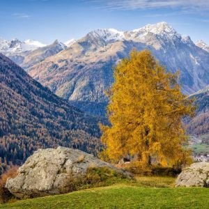 The Grand Autumn Finale