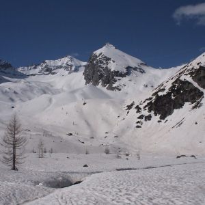CIMA PRESENA