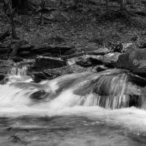 Trout Run Nature Preserve
