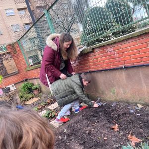 Fotos huerto escolar 3º de primaria en enero