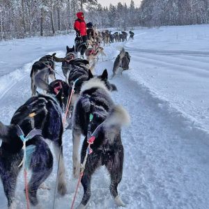 01.2025 • Wintertraum LAPPLAND