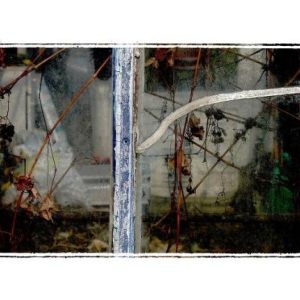 30 GREENHOUSE WINDOWS