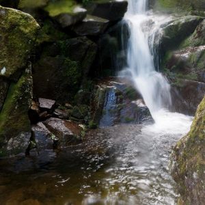Snyder Brook Scenic Area, Randolph, NH