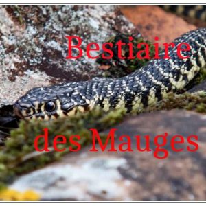 Bestiaire des Mauges - Bestiary of the Mauges