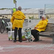 STIENESTEEKERS 157 - Belgium