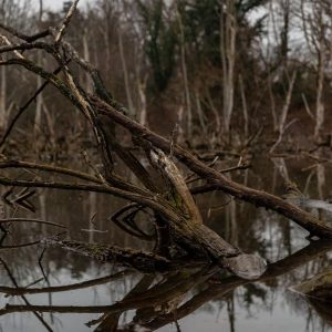 Groov’sches Loch - 16. + 17.01.2021
