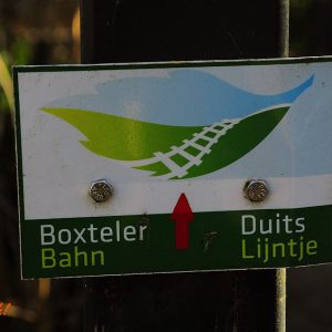 Boxteler_Bahn_2022