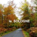 la SOLOGNE   les BORDS de la LOIRE