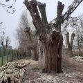NatuurlijkAvontuurlijk - Speelbos