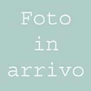 1000 Miglia 2016 Foto