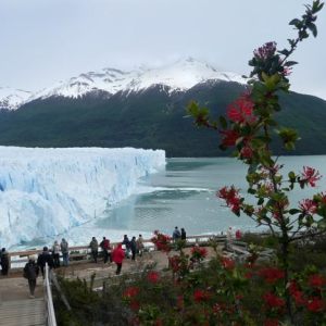 Patagonie - Parc national des glaciers