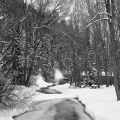 WBphotos
